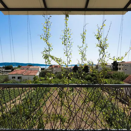 4-star Bianco * Kaštela